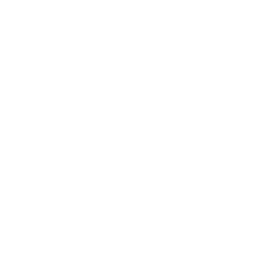 Swedish Crown